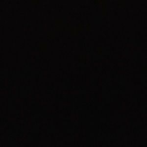 Meet your Posher, Lilly